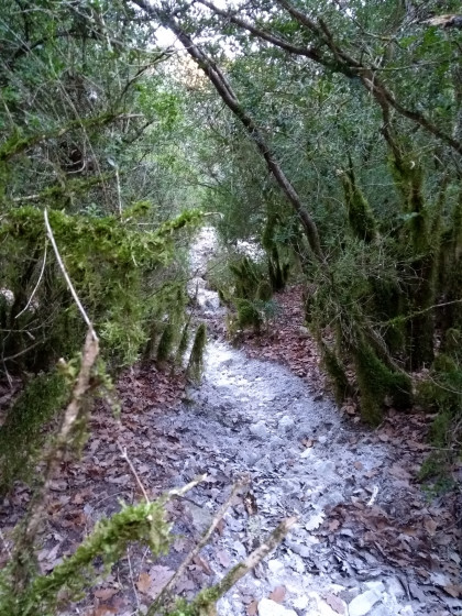le lit du torrent
