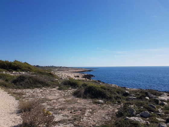 Le littoral