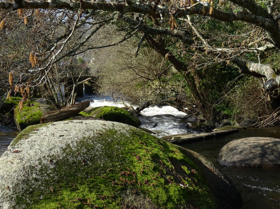 Le long de l\'Aven