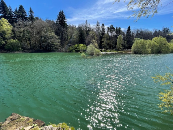 Lac de l'Oignin