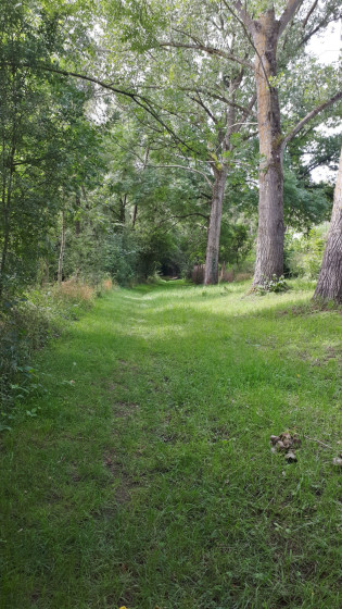 Le long de L'Yron  dans Ville-sur-Yron.