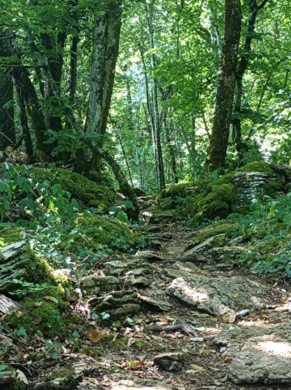 Le long de la falaise