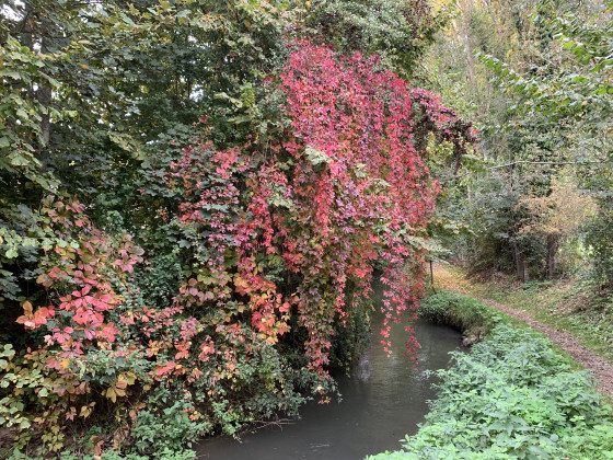 A faire : La Petite Gette d'Orp à Maret via Petit-Hallet - Randonnée