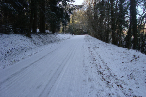 Le long de la Rigole.