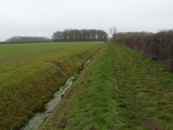 Le long de la rigole