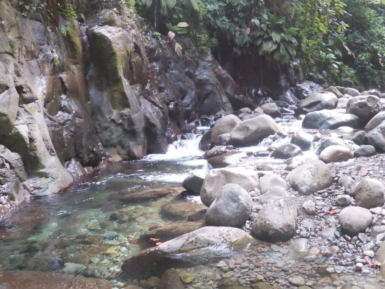 le long de la rivière moustique