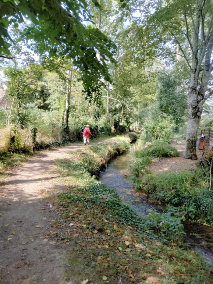 Le long de la Roguenette