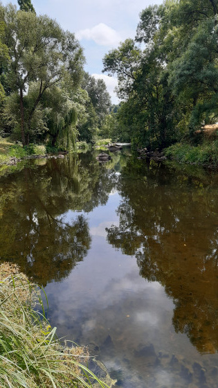 Le Long de la Sèvre avant Tiffauges