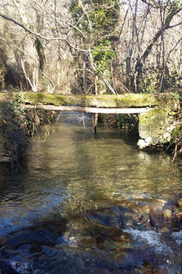 Le long des ruisseaux
