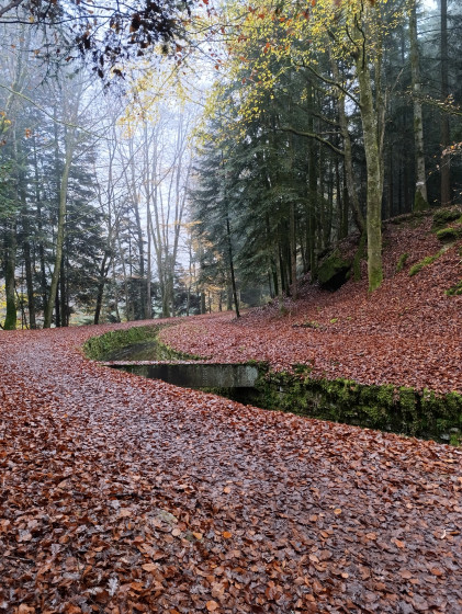 Le long du canal d'alimentation du lac de Bouzey