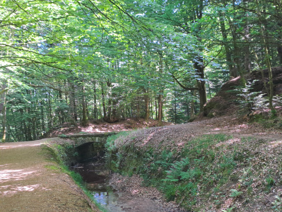 Le long du canal d\'alimentation du réservoir de Bouzey