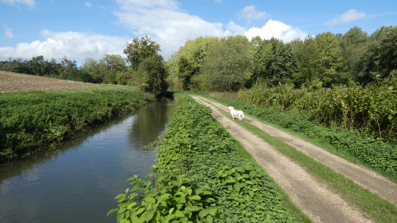 Le long du canal de la Thérouanne