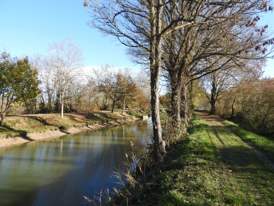 le long du Canal du Midi