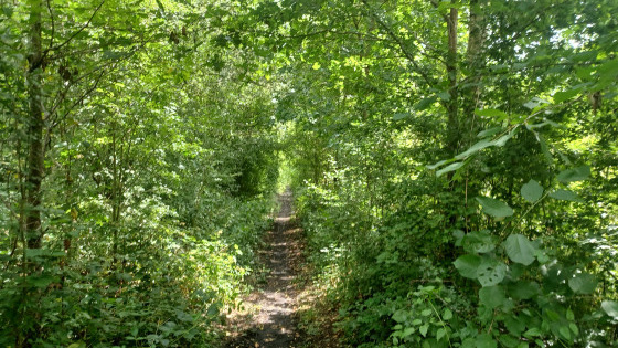 Le long du canal