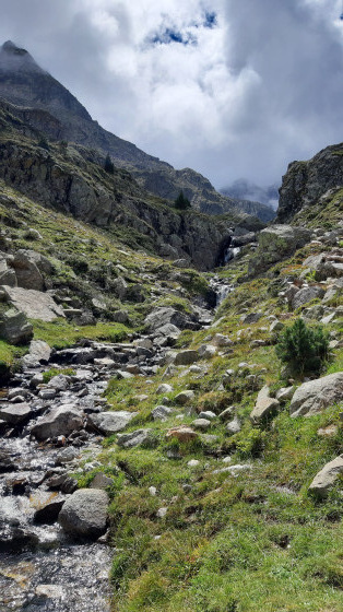 Le long du chemin