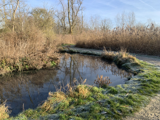 Le long du Geer