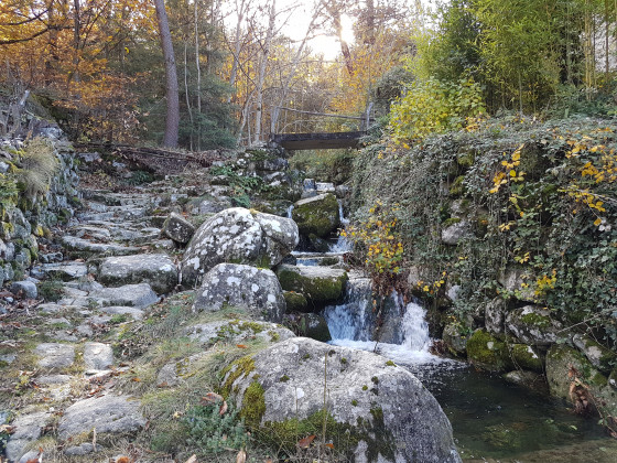 le long du Ranc Rognon