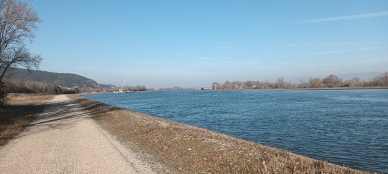 Le long du Rhône