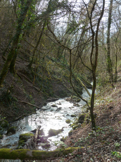 Le long du Ruisseau de la Mère