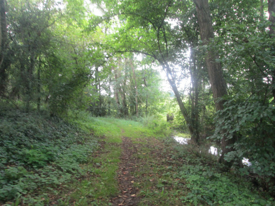 Le long du ruisseau l'Hogneau