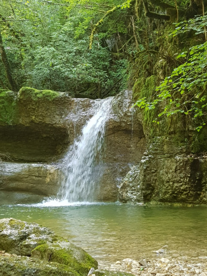 Le long du ruisseau