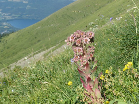Le long du sentier du Diable