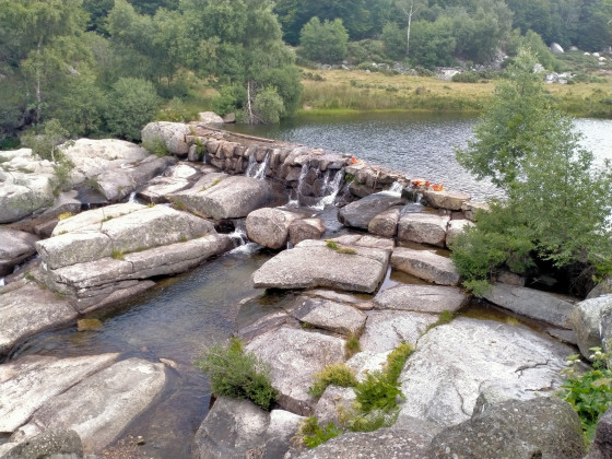 Le long du Tarn