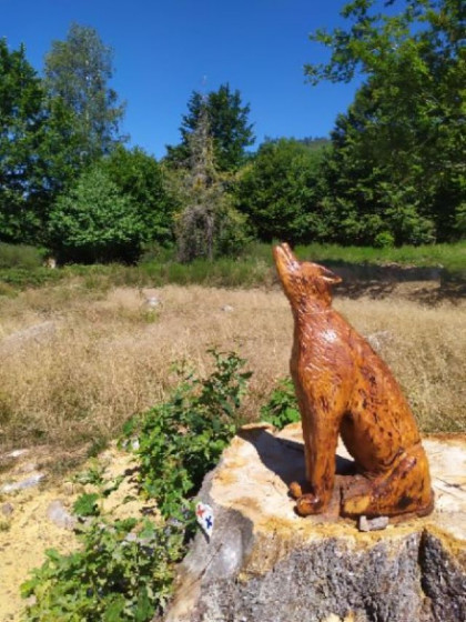 Le loup du Kolhberg