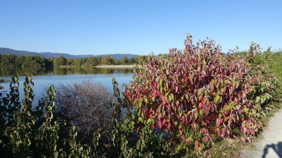 Le Malsaucy en d&eacute;but automne