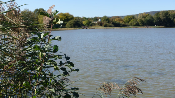 Le Malsaucy et la maison environnement