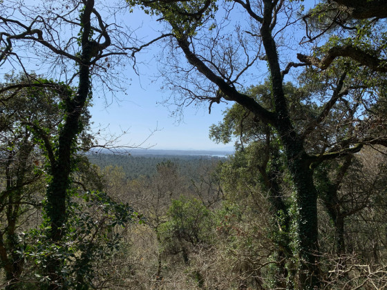Le marais d'Orx