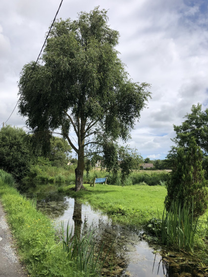 Le marais de Bellengreville