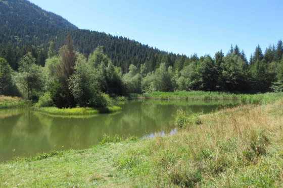 Le Marais des Seiglières