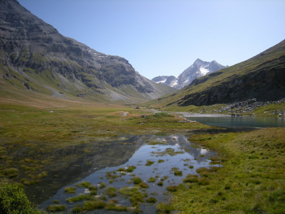 Le marais en amont du lac du Saut