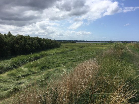 Le marais et les polders