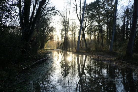 Le marais mouillé