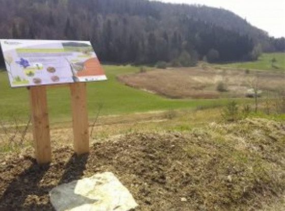 Le marais sur les Ormes, un tr&eacute;sor de biodiversit&eacute;