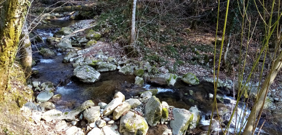 Le Maravant