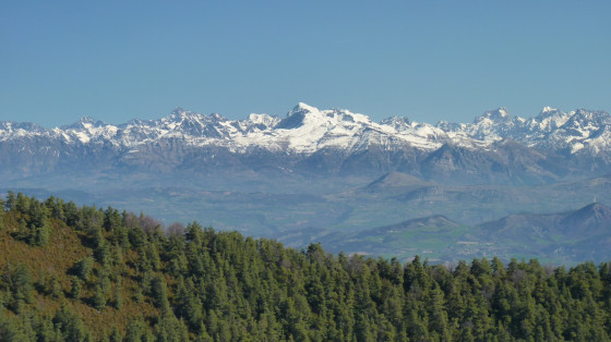 Le Massif des Écrins et le vieux Chaillol au centre