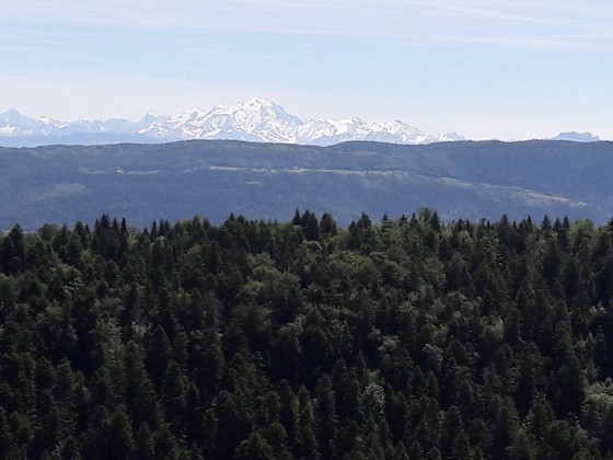 Le massif du Mont Blanc