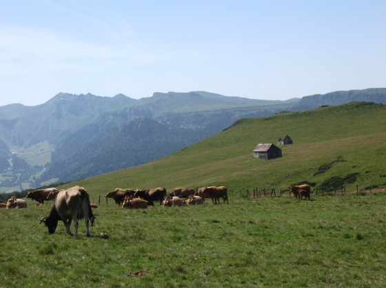 le massif du Sancy