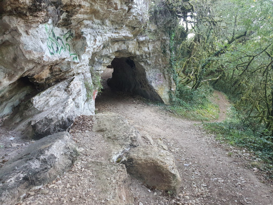 Le massif rocheux abrite de jolies surprises le long du chemin des falaises