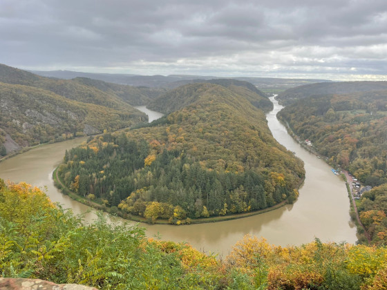 Le m&eacute;andre de la Sarre