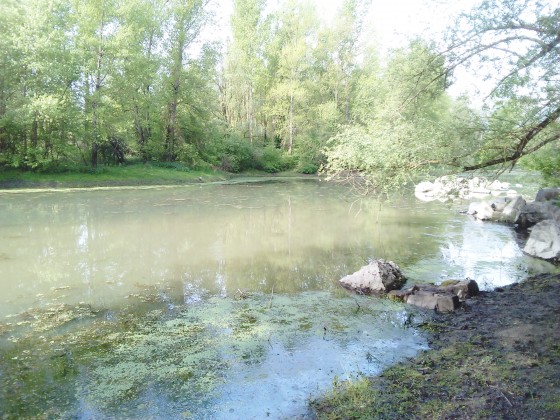 L'ancien m&eacute;andre.