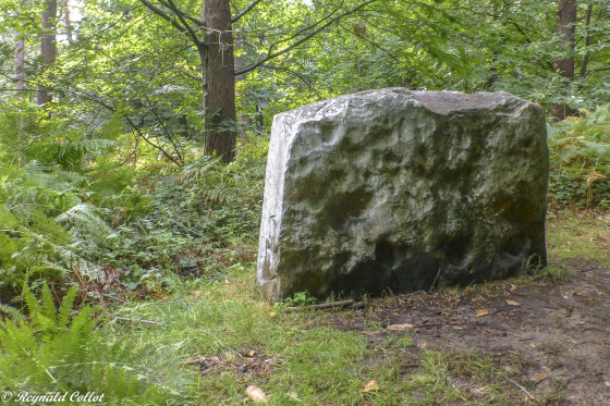 Le mégalithe