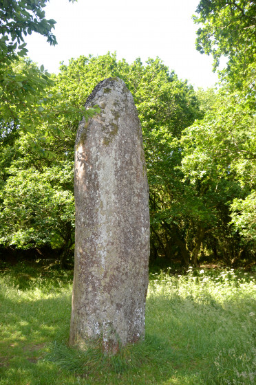 A faire Circuit du Menhir à Berrien Randonnée