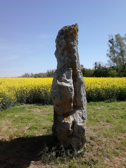 Le menhir de l\'étang de Chènevry