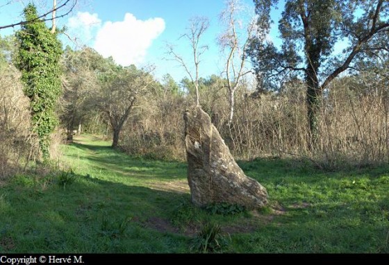 Le menhir de la Conche verte
