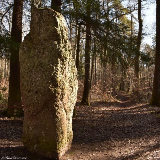 Le menhir du Langenstein