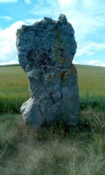 Le menhir en juin 2020